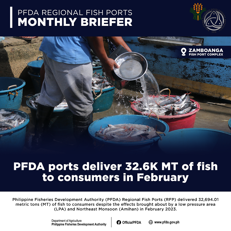 2023 February Monthly Briefer resized