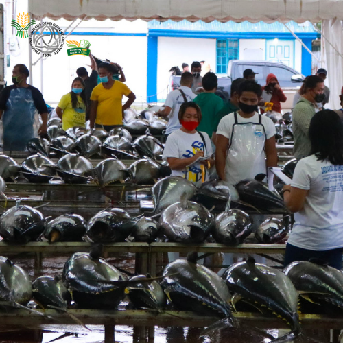 Agency News PFDA April 8 1
