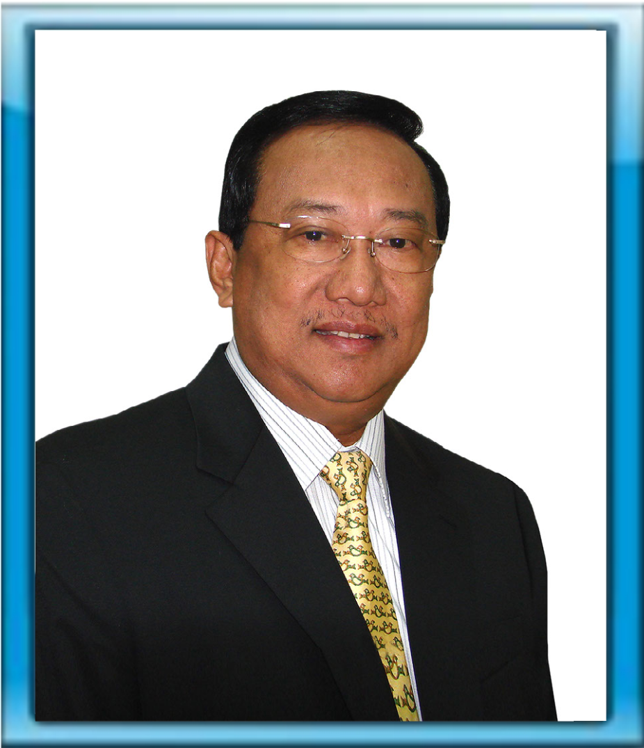 Mark Villar