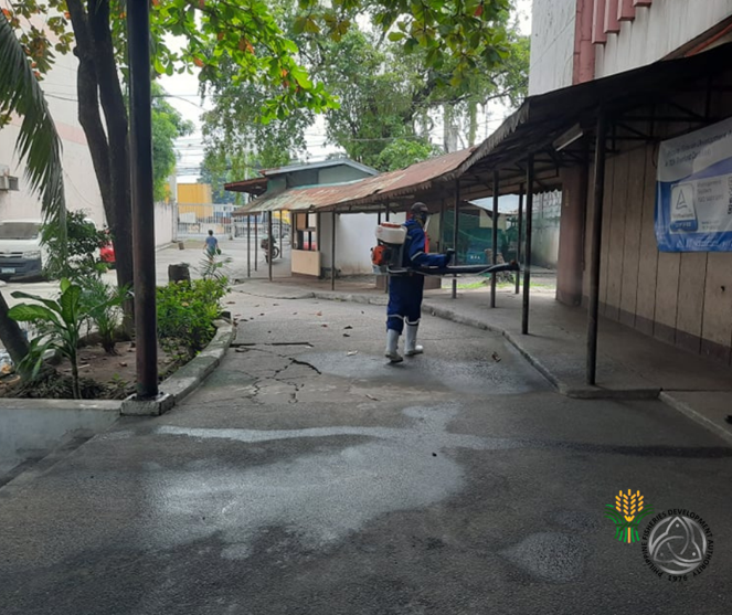 CO Cleaning Web 1