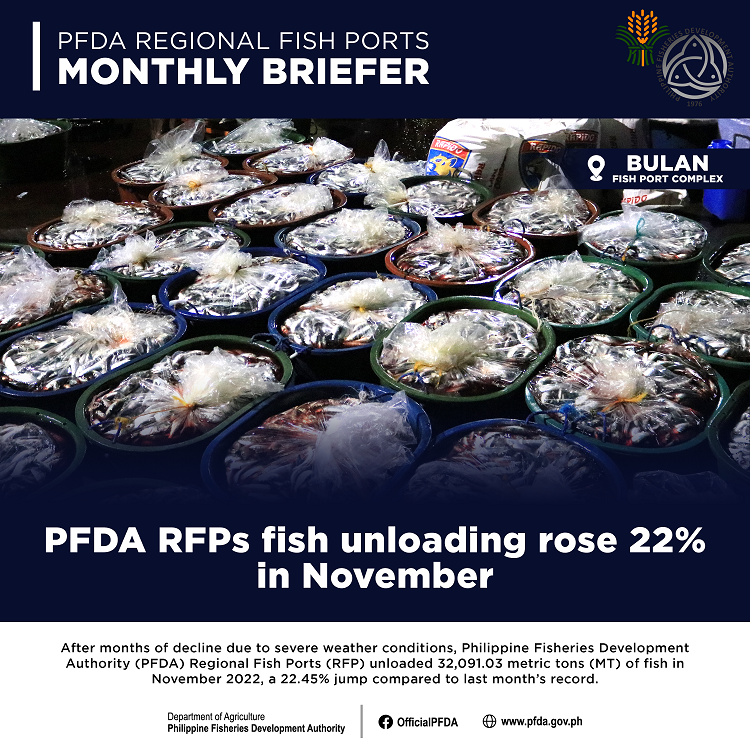 November Monthly Briefer resized