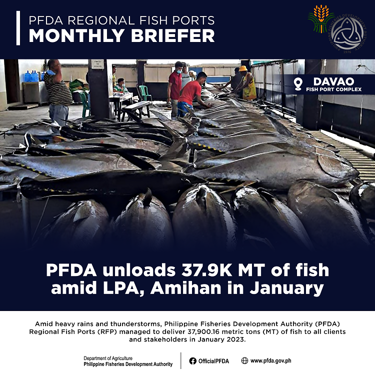 2023 January Monthly Briefer resized