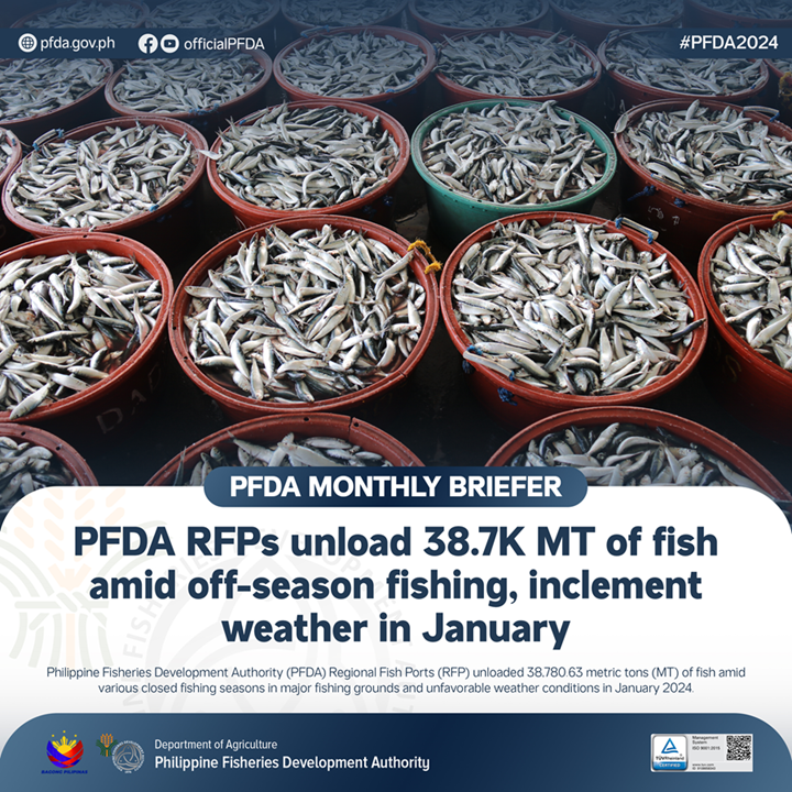 January PFDA 2024 Monthly Briefer resized