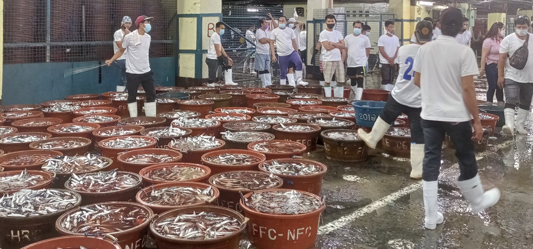 NFPC GG 2