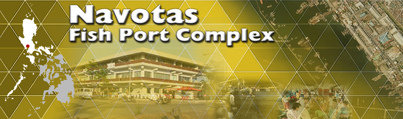 Navotas Fish Port Complex