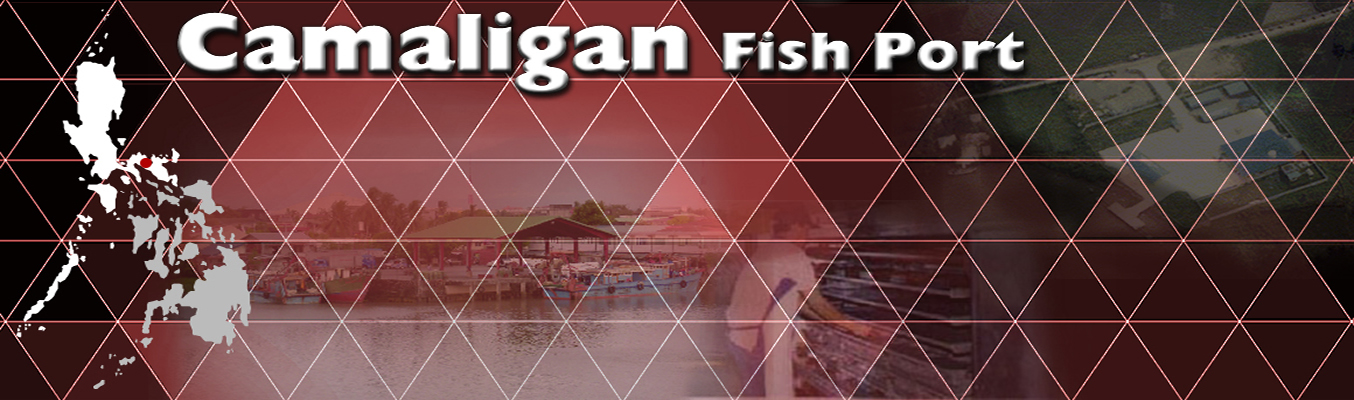 Camaligan Fish Port